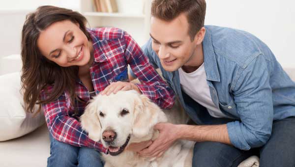 5 must essentials for bringing a pet to home