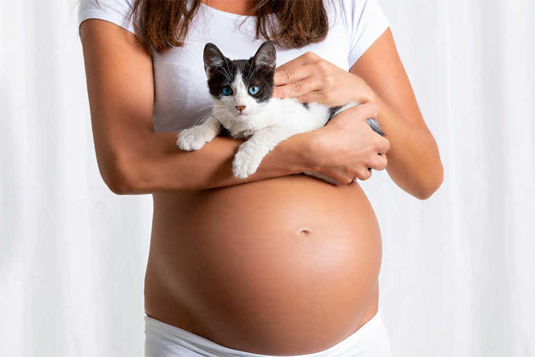 pregnant woman with a cat