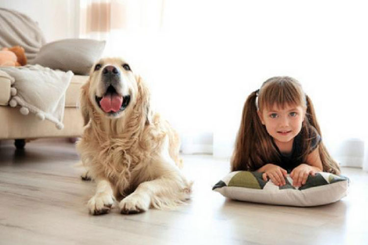 Pets=kids, are you agree that?