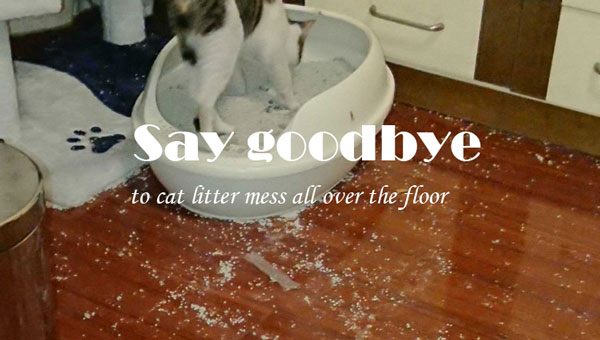 Cat Litter Mess All Over the Floor？6 Tips to Help You Solve It