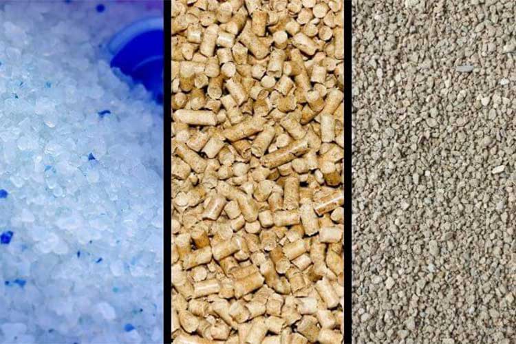 types of cat litter