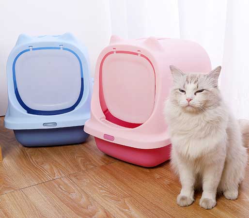 cat litter tray with a cat
