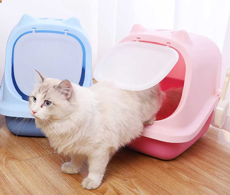 cat litter box with a cat