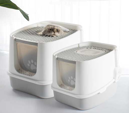 enclosed cat litter box with cat