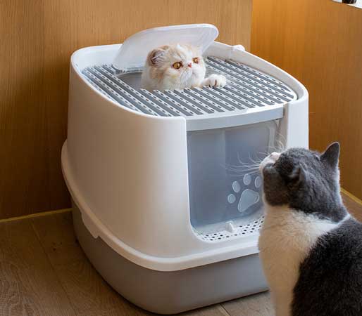 enclosed cat litter box with cats