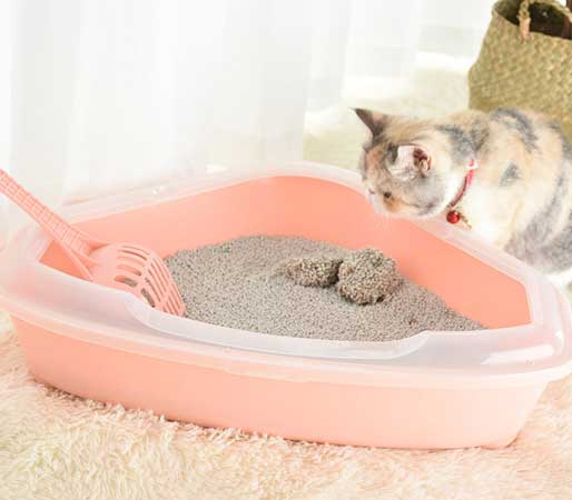 triangular corner cat litter pan with cat