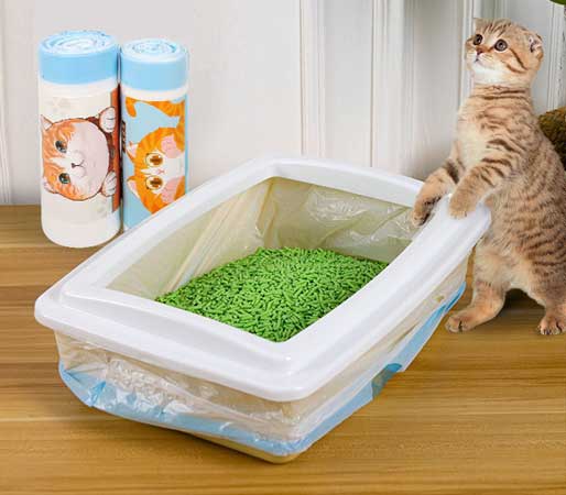disposable cat litter box