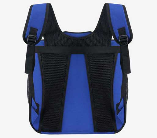 Backpack foldable pet bag back