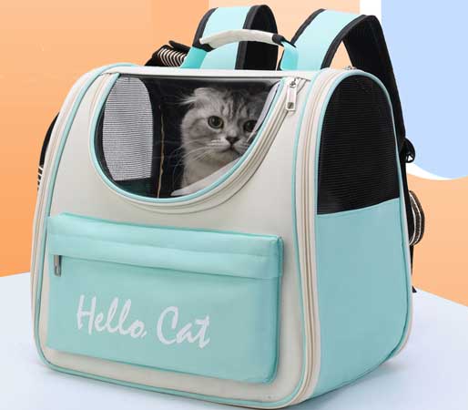 foldable cat bag cat
