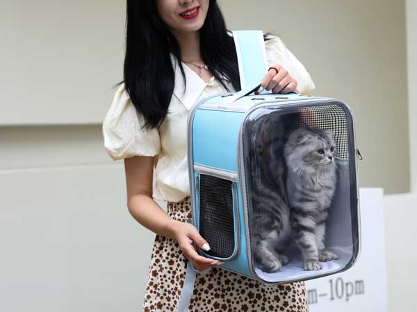 Dropship Cat Backpack Carrier Bubble Bag; Small Dog Backpack