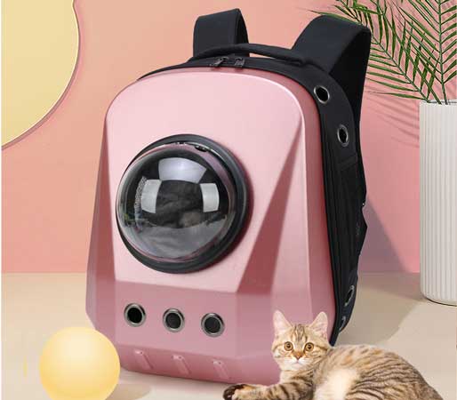 three-dimensional cat bag cat