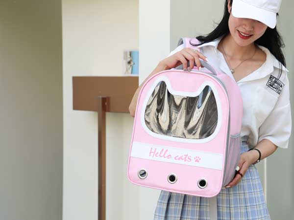 Pink Cat Shaped Backpack Cute Kitty Carrier