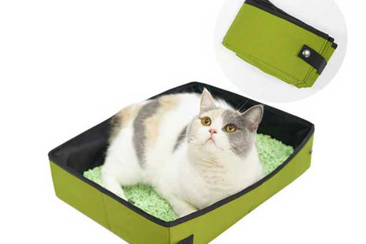 portable cat litter box