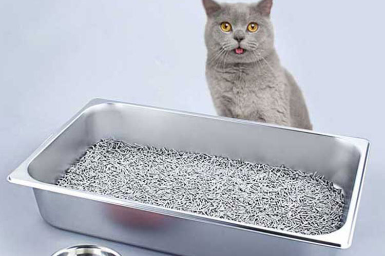 stainless steel cat litter pan