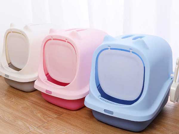 cat litter box