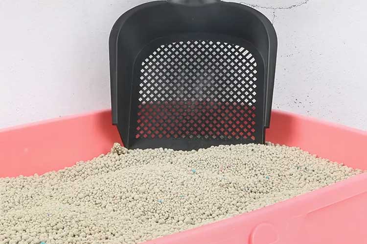 bentonite cat litter