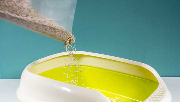 The History Of Cat Litter