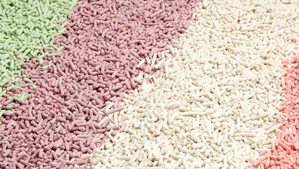 Should We Choose Original or Fragranced Tofu Cat Litter?