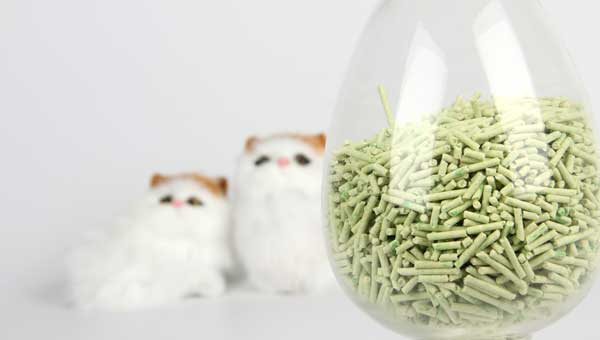 Harm And Detection Method Of Formaldehyde In Tofu Cat Litter